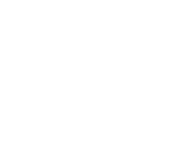 MIH Logo